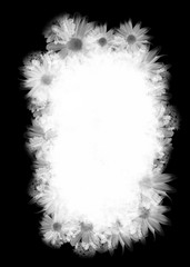 Flowers Decorative Black & White Photo Frame. Type Text Inside, Use as Overlay or for Layer / Clipping Mask