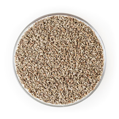 Anise seeds in glass bowl isolated on white background with clipping path