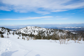 Fototapeta na wymiar Mountains in Zakopane and Poland covered with fresh snow on a sunny day