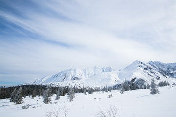 Mountains in Zakopane and Poland covered with fresh snow on a sunny day