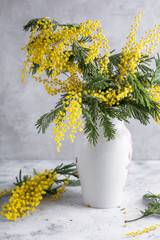 mimosa flowers, acacia, bouquet, white vase, gray stone background, copy space