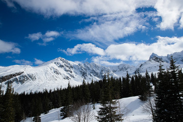 Mountain peaks in Zakopane and in Poland cover with fresh snow during a sunny day