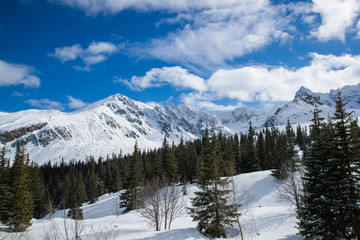View on top of the mountains in the Zakopane area in Poland covered with fresh snow on the day with blue sky