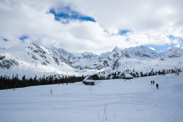 Snow covered mountains in the Zakopane and Poland area covered with fresh snow during a sunny day