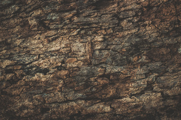 wood texture background