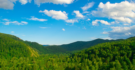 Fototapeta na wymiar Summer landscape magnificent green hills and forest with different trees against the blue sky. Russia Siberia.