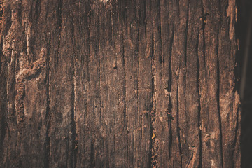 Fototapeta premium wood texture background