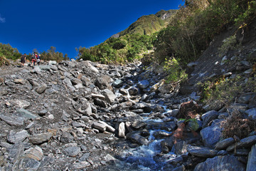 Franz Josef Glacier, Southern Alps, New Zealand