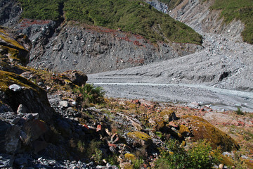 Franz Josef Glacier, Southern Alps, New Zealand
