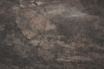 wood texture background