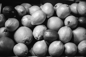  lemon, orange, grapefruit, lime. A set of citrus in a box. black and white photo