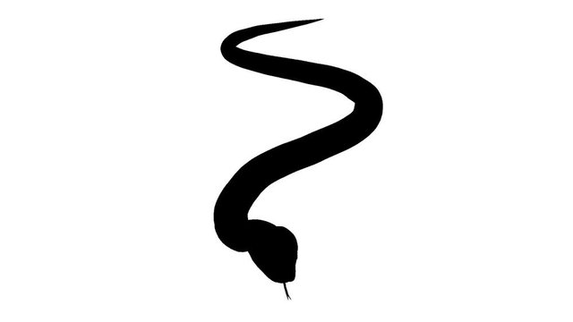 Silhouette of a python. Alpha channel. Alpha matte. FullHD.