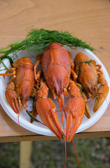 Boiled crayfish on the plate.