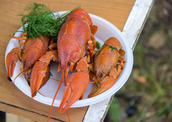 Boiled crayfish on the plate.