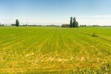 Italy,La Spezia to Kasltelruth train, a person standing on a lush green field