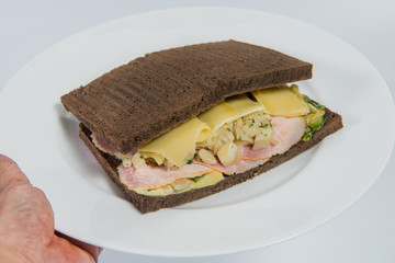 Brown bread sandwich with Cream mushroom sauce and cheese