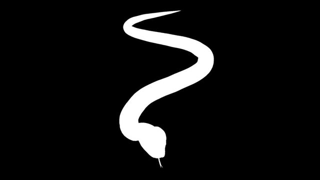 White silhouette of a python. Alpha channel. Alpha matte. FullHD.