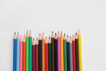 Colour pencils isolated on white background close up 