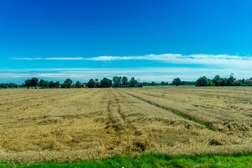 Obraz premium Italy,La Spezia to Kasltelruth train, a close up of a green field
