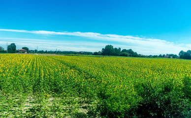 Italy,La Spezia to Kasltelruth train, a large green field with trees in the background