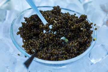 Metal spoon and black caviar closeup