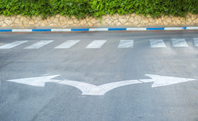 Obraz premium Crosswalk on the road background.