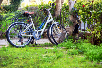 Fototapeta na wymiar Bicycle parked at the backyard.