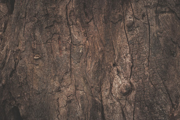 wood texture background