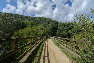 Fototapeta na wymiar rural path between wooden fences, peacefulness