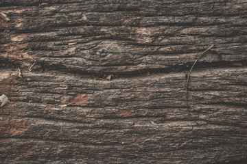 wood texture background