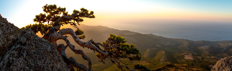 Beauty nature landscape Crimea