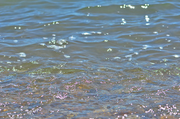ripples on surface of water