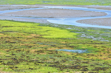 aerial view of a field
