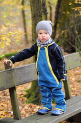 Portrait of a happy little boy standing on a bench