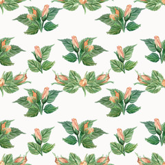 pink watercolor roses