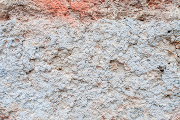 Shell rock geology sample closeup. Rock consist of many small sea shells and its prints.