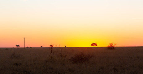 Fototapeta na wymiar sunset over africa