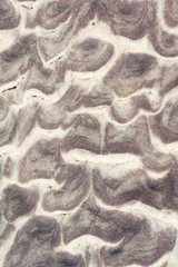 Background of sand textures on the beach