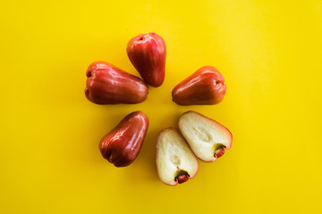 Syzygium Aqueum , Bell fruit or Jambu Air in local Malay language, is a fruit that has a shape like a bell; shot on isolated yellow background.