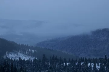 Crédence de cuisine en verre imprimé Forêt dans le brouillard Misty Foggy Winter Mountains