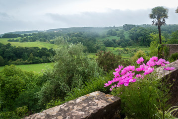 View of the idilic English countryside with some cosmos flowers in the foreground, Somerset, England UK