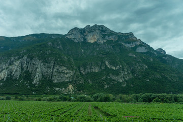 Obraz premium Italy,La Spezia to Kasltelruth train, a large green field with a mountain in the background
