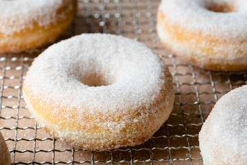 donuts mit kristallzucker nahaufnahme auf abtropfgitter mit hellem untergrund von vorne fotografiert
