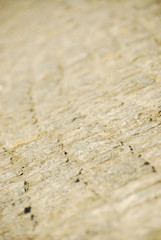 Fototapeta na wymiar Tile texture stones Square. Paving stone KV F