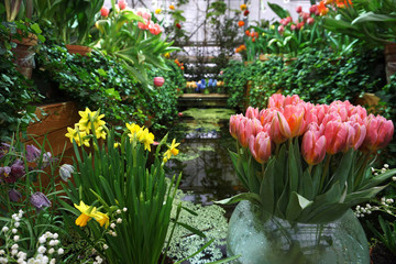 exhibition of spring flowers in the botanical garden