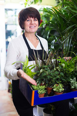 Happy assistant tending numerous green plants