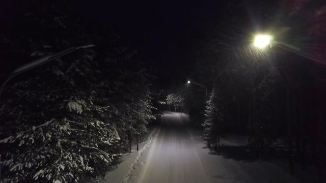 Park path at night in snow. Clip. Top view of bright lights illuminating path in snowfall in dense coniferous forest at night. Wonderful inclusion of lights illuminating of forest trail