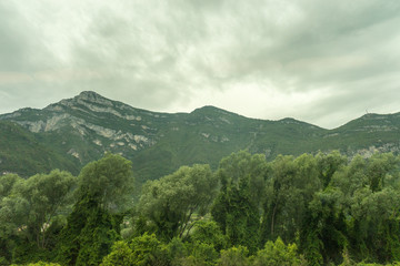 Fototapeta premium Italy,La Spezia to Kasltelruth train, a tree with a mountain in the background