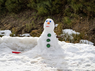 Snowman made with a carrot in the nose and plugs in the eyes and buttons