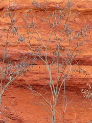 Les Ocres de Roussillon